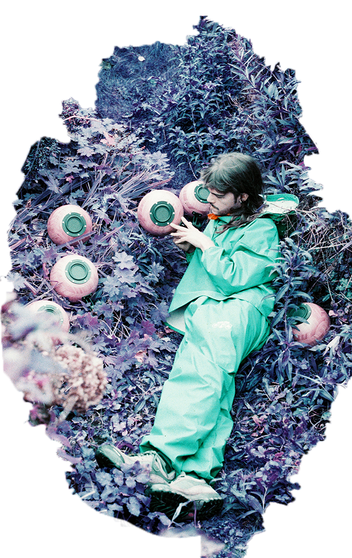 Dromentuin image